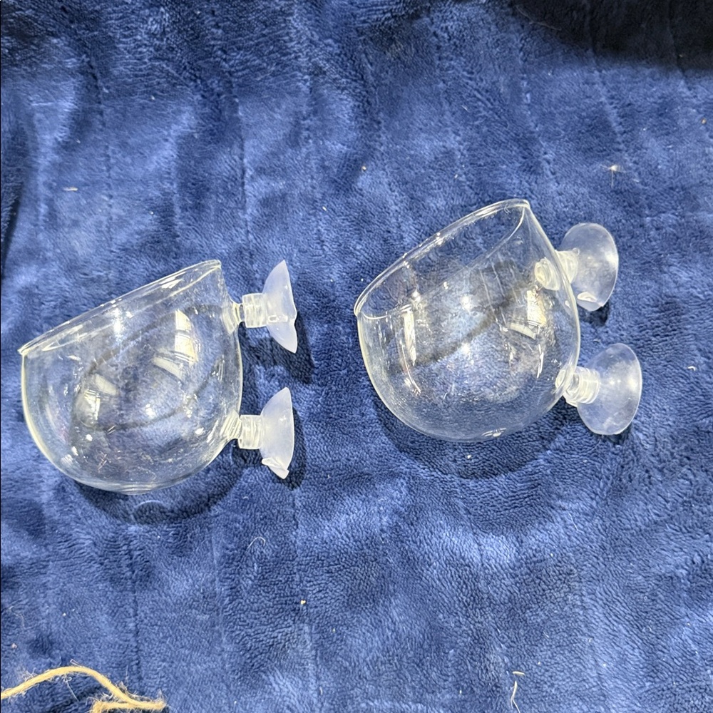 Air Plant/small plants Suction Cup Glass Planter - Clear - Picture 4 of 6